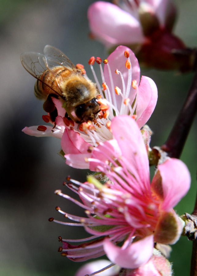 _MG_5428 ����.jpg