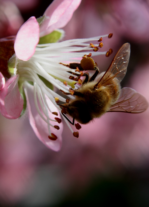 _MG_5423 ����.jpg