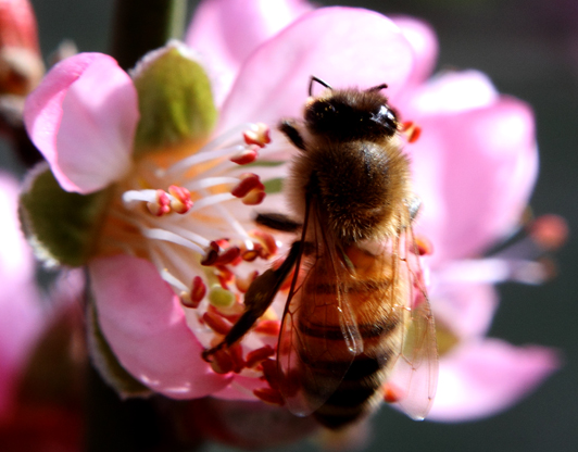 _MG_5468 ����.jpg