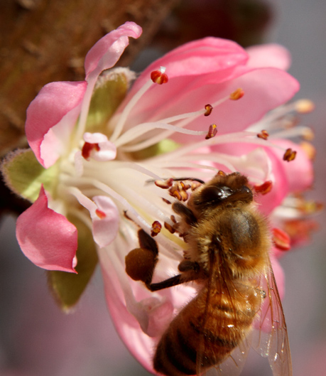 _MG_5458 ����.jpg