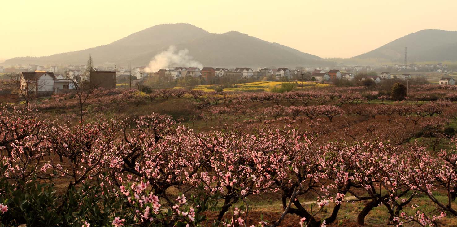 _MG_5538 ����.jpg