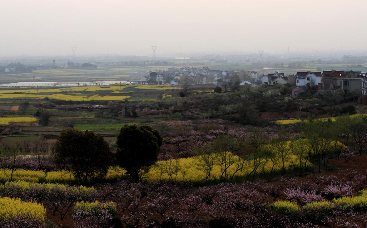 _MG_5504 ����.jpg