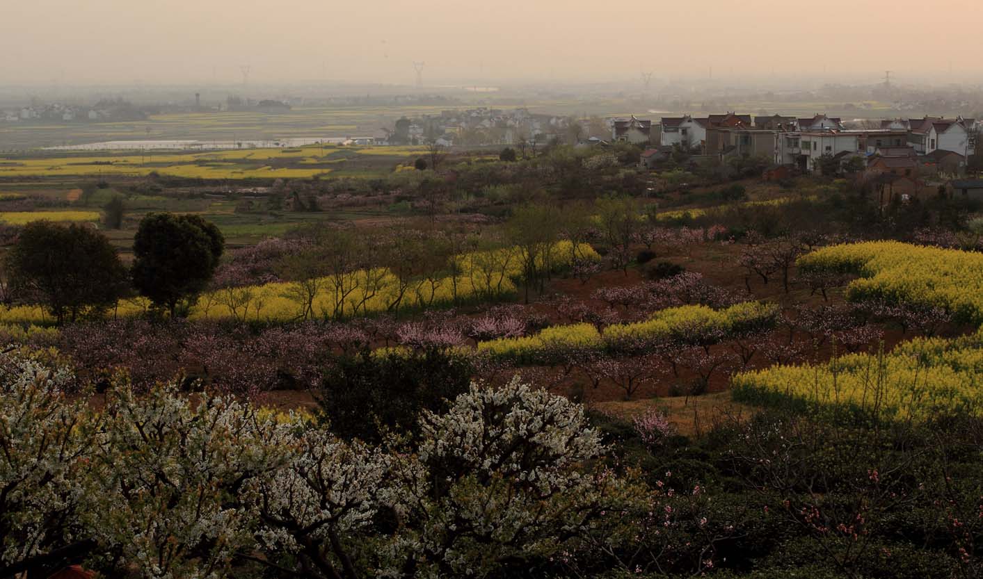 _MG_5528 ����.jpg