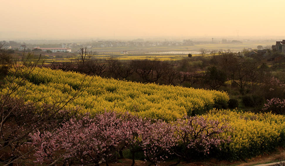 _MG_5537 ����.jpg