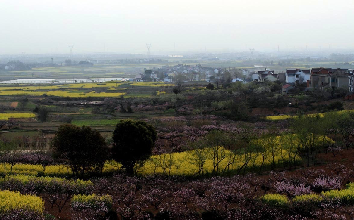 _MG_5504 ����.jpg