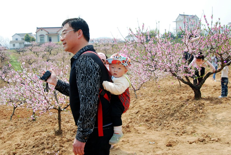 ���� DSC_8062_conew1.jpg