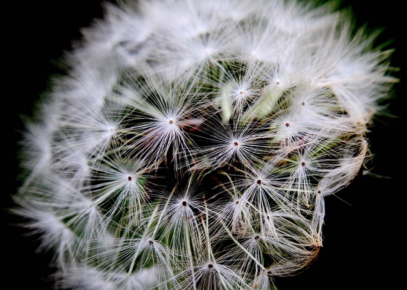 _MG_5626 ����.jpg