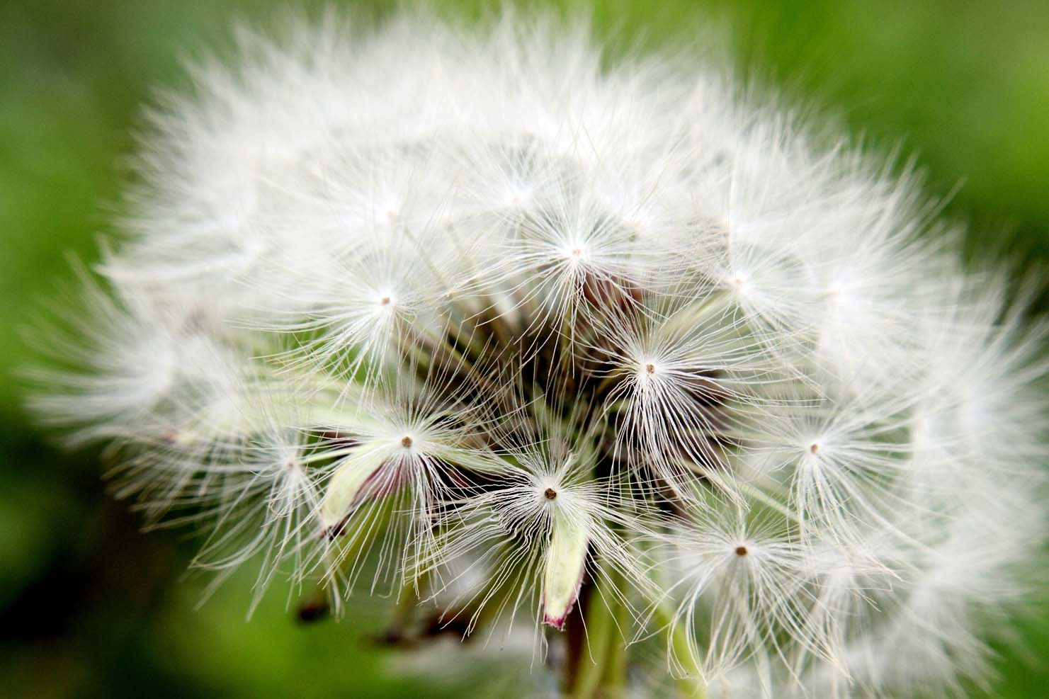 _MG_5631 ����.jpg