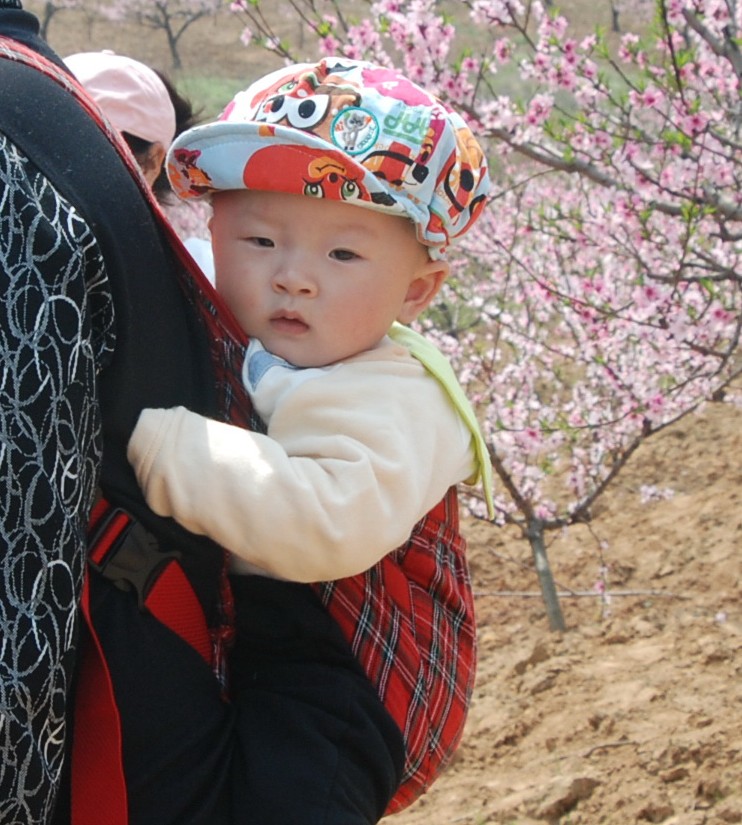 ���� ���� DSC_8062_conew1.jpg