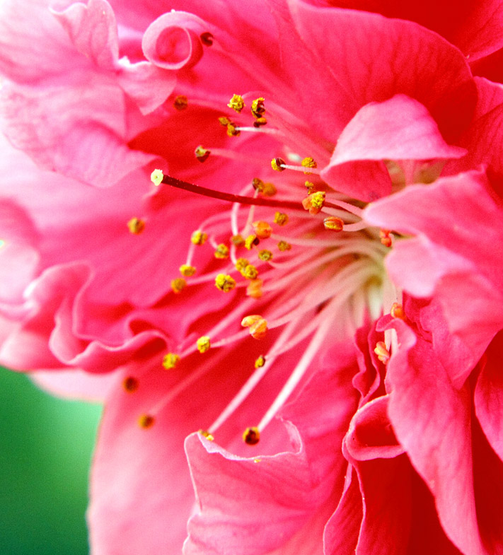 _MG_5612 ����.jpg