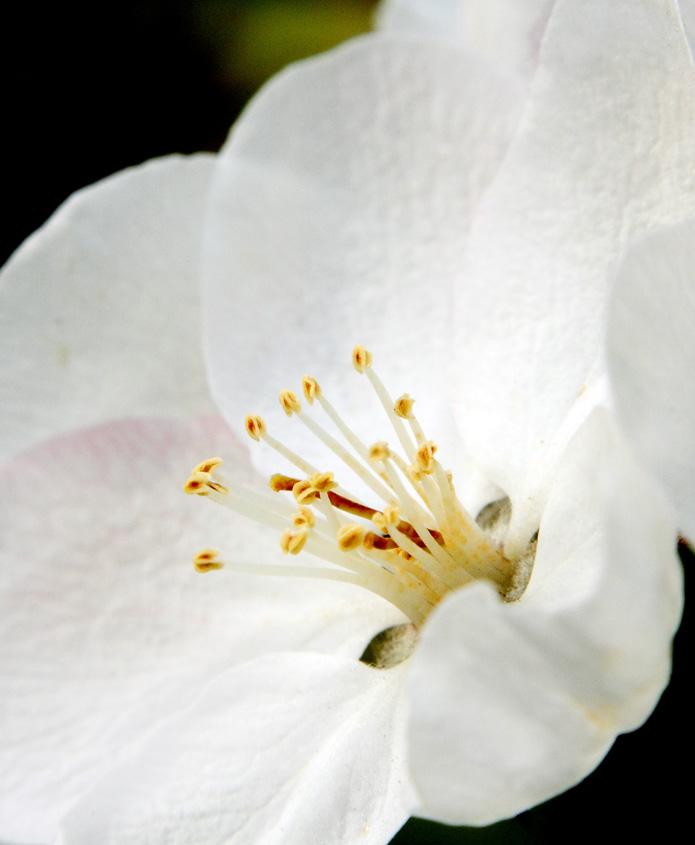 _MG_5617 ����.jpg