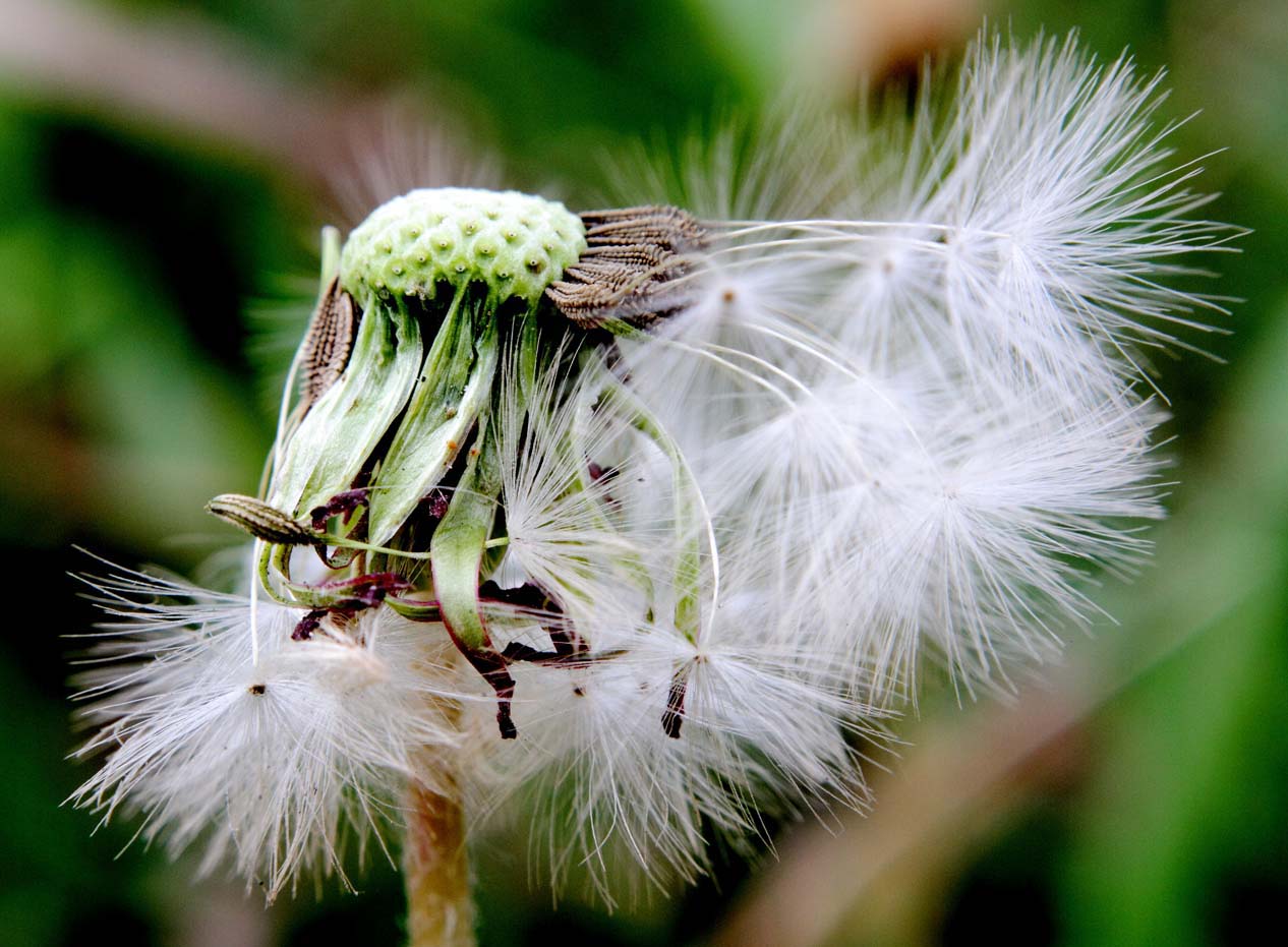 _MG_5624 ����.jpg