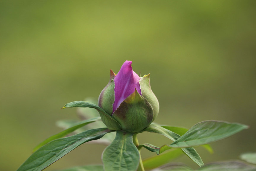 ���� IMG_5180.JPG