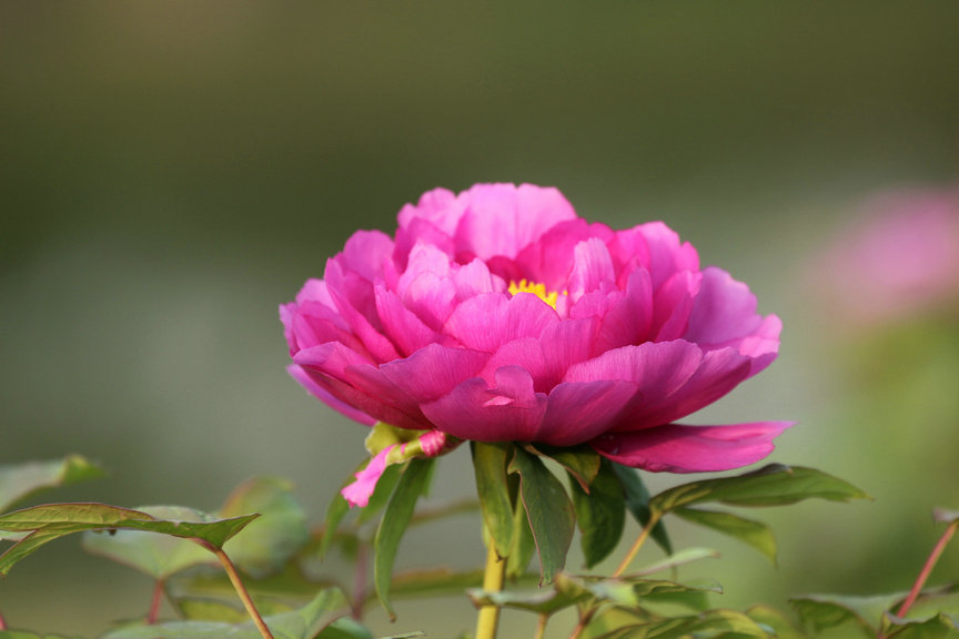 ���� IMG_5240.JPG