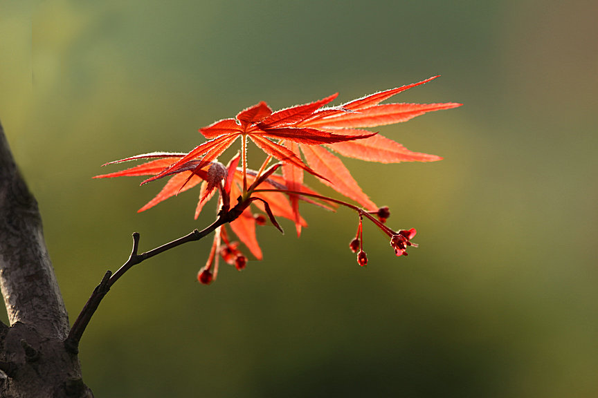 ���� IMG_5213.JPG