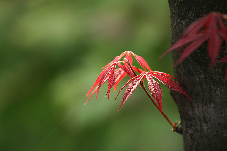 ���� IMG_5170.JPG