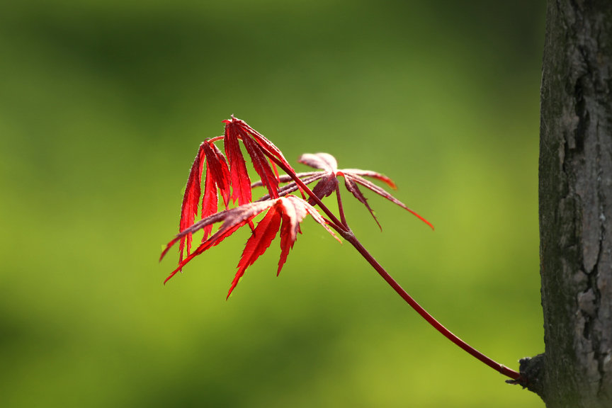 ���� IMG_5211.JPG