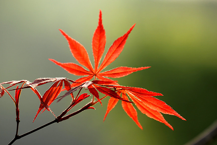 ���� IMG_5216.JPG