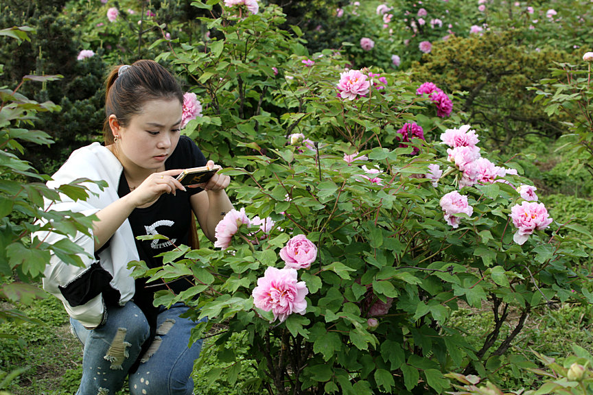 ���� IMG_5192.JPG