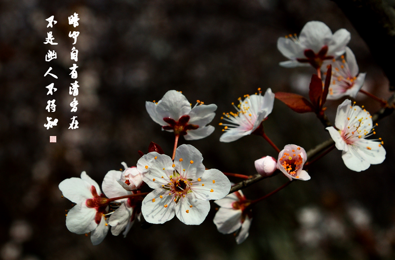 ���� ���� ӣ��7.jpg