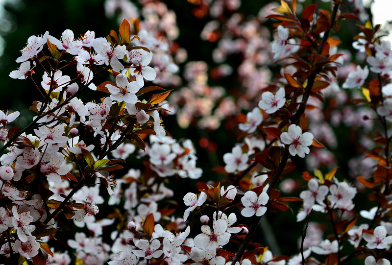 ���� ӣ��4.jpg