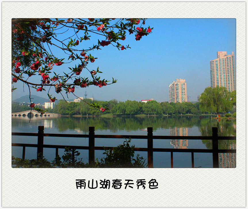 IMG_5620_���� ����_����.jpg