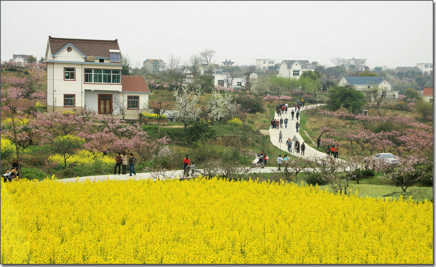 ���� 5113.JPG