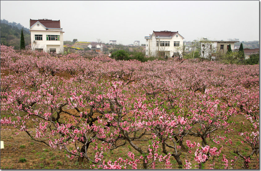 ���� IMG_5110.JPG