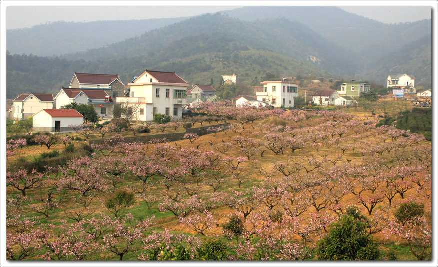 ���� IMG_5020_1.JPG