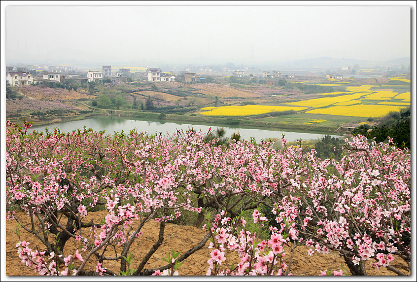 ���� IMG_5121.JPG