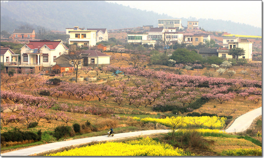 ���� IMG_4978.jpg