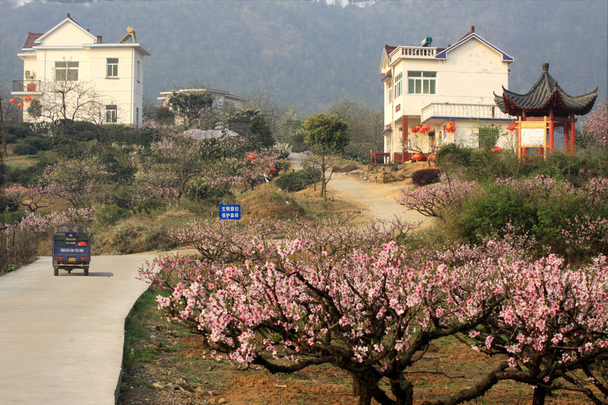 ���� IMG_5002.jpg