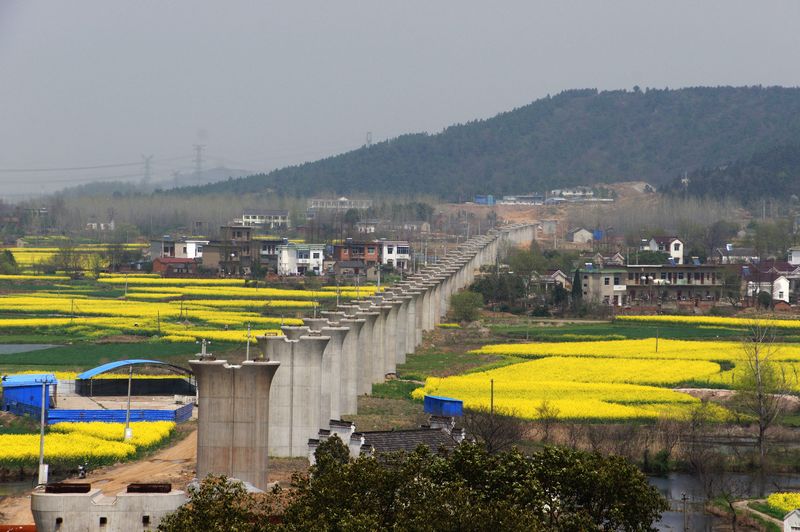 DSC05217 ����.jpg