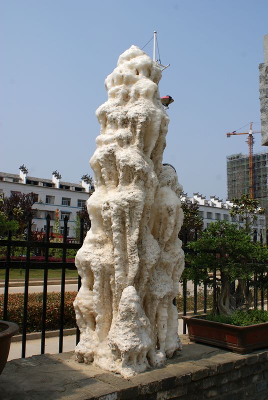 DSC05199 - ����.JPG