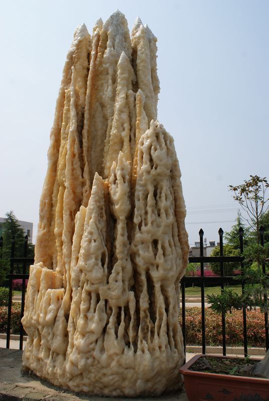 DSC05197 - ����.JPG