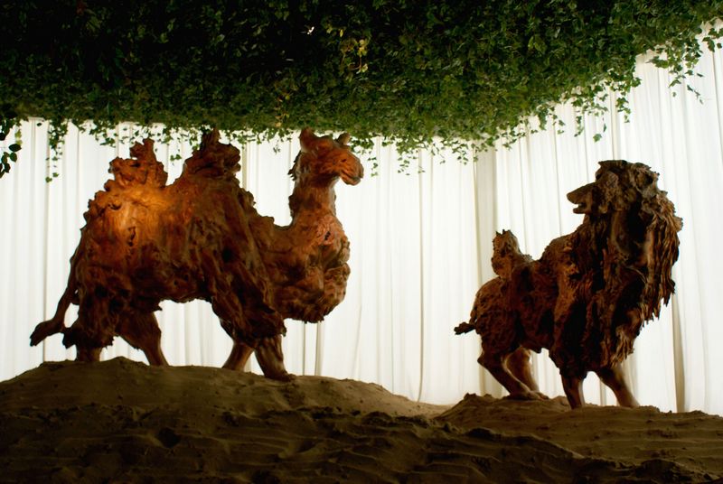 DSC05336 ����.jpg