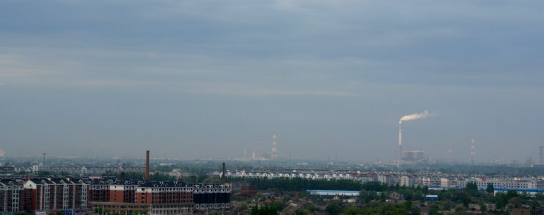 DSC06110 ����.jpg