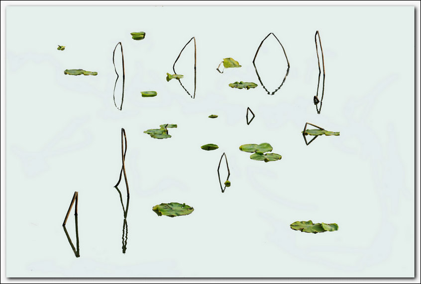 ���� IMG_5488.JPG