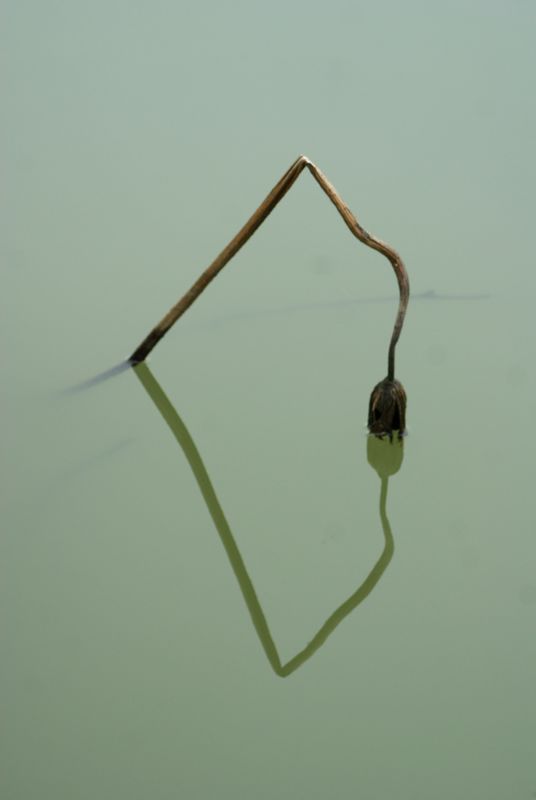 DSC06591 - ����.JPG