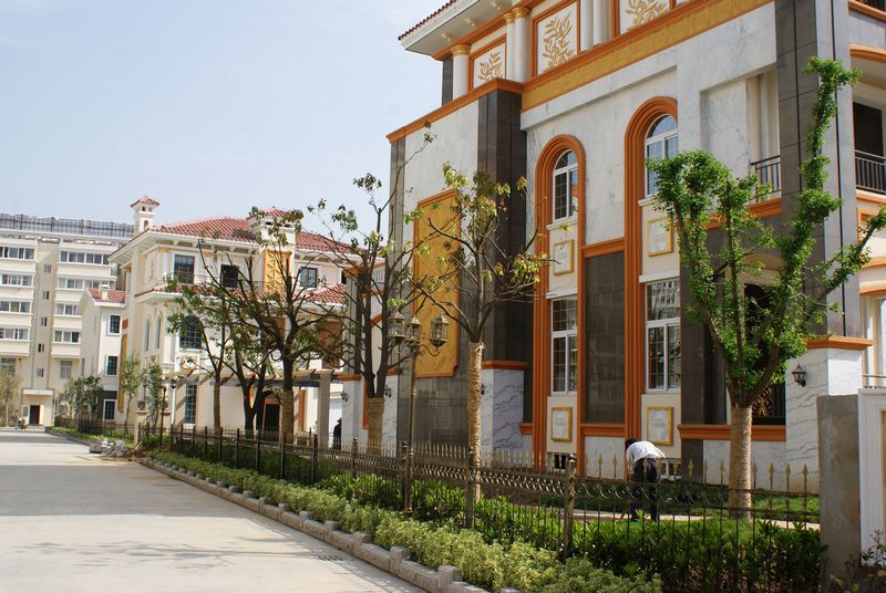 DSC06209 ����.jpg