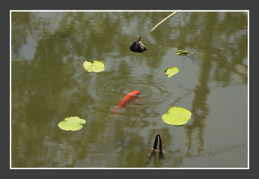 ���� IMG_5717.jpg