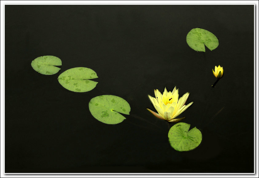 ���� IMG_0142.jpg