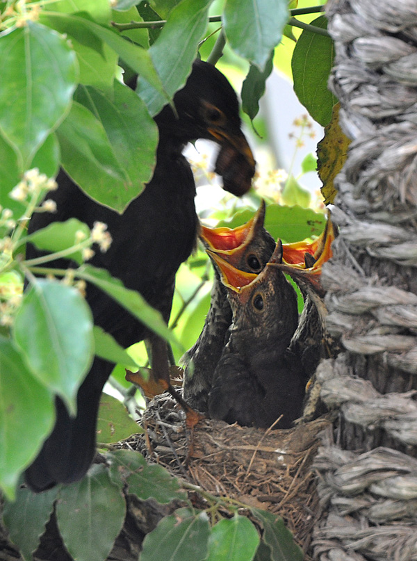 DSC_0038 ����.jpg