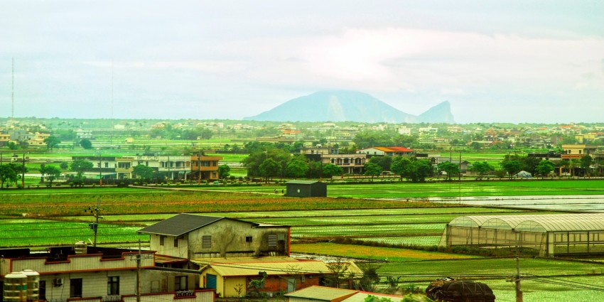 ���� DSC_4133_conew2.JPG