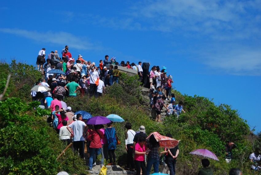 ��̫ƽ���ο�