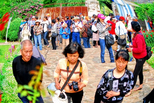 ���� DSC_1000_conew1.JPG