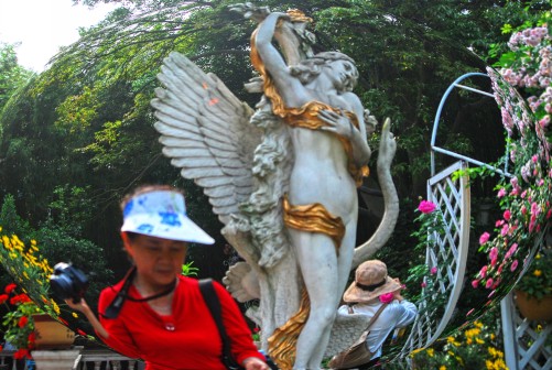 ���� DSC_1032_conew2.JPG