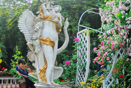 ���� DSC_1038_conew2.JPG