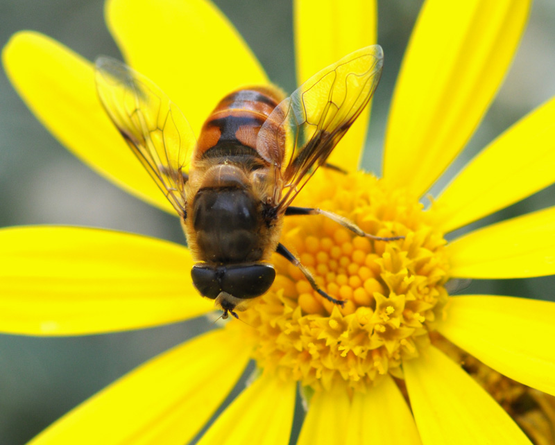 DSC_0120 ����.jpg