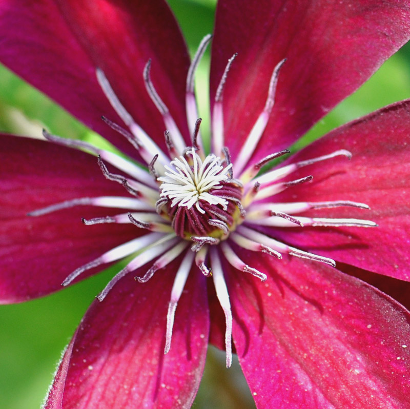 DSC_0027 ����.jpg